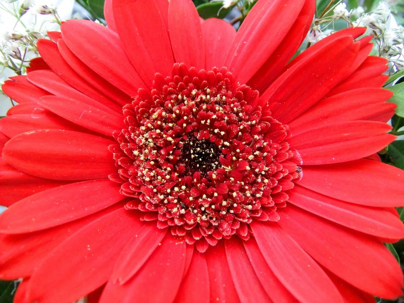 DSCF3145