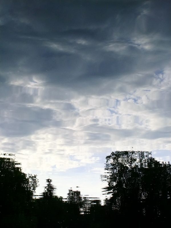 DSCF3166