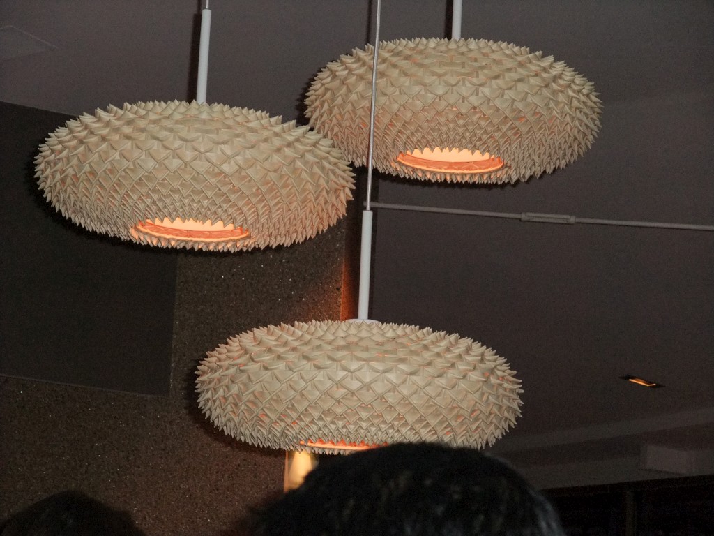 DSCF2774-1024