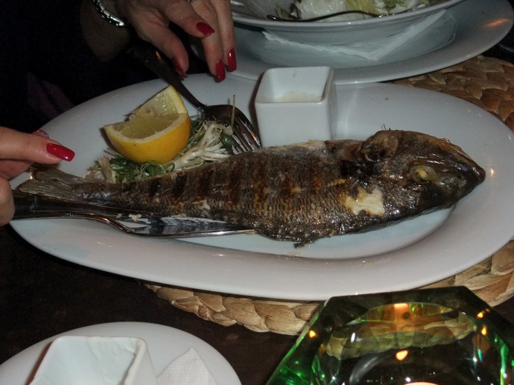 DSCF2780-1024