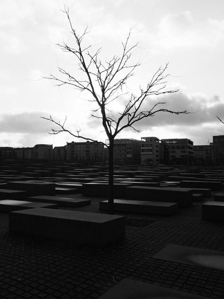 DSCF4672
