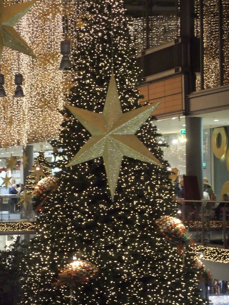 DSCF4761
