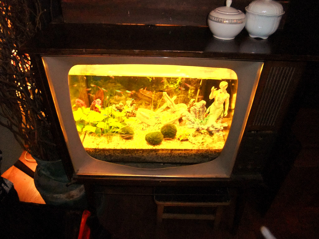 DSCF2881-1024