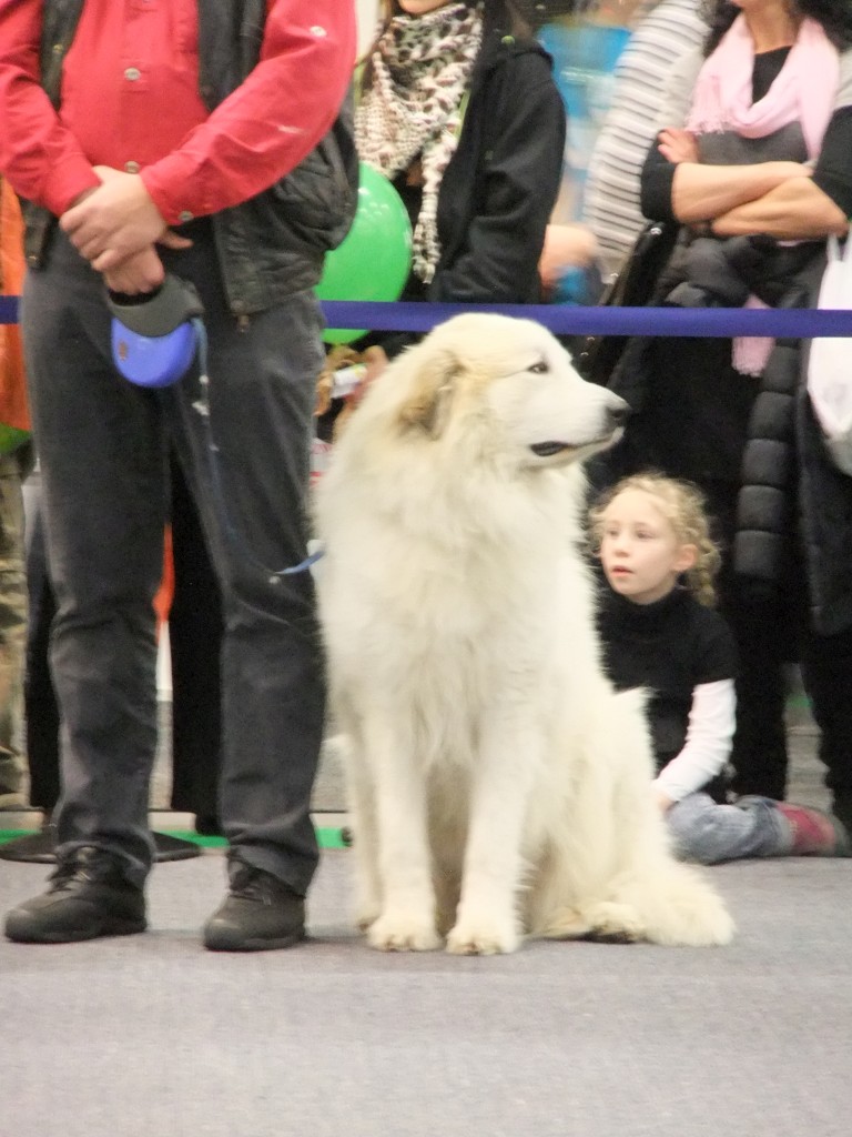 DSCF1320-1024