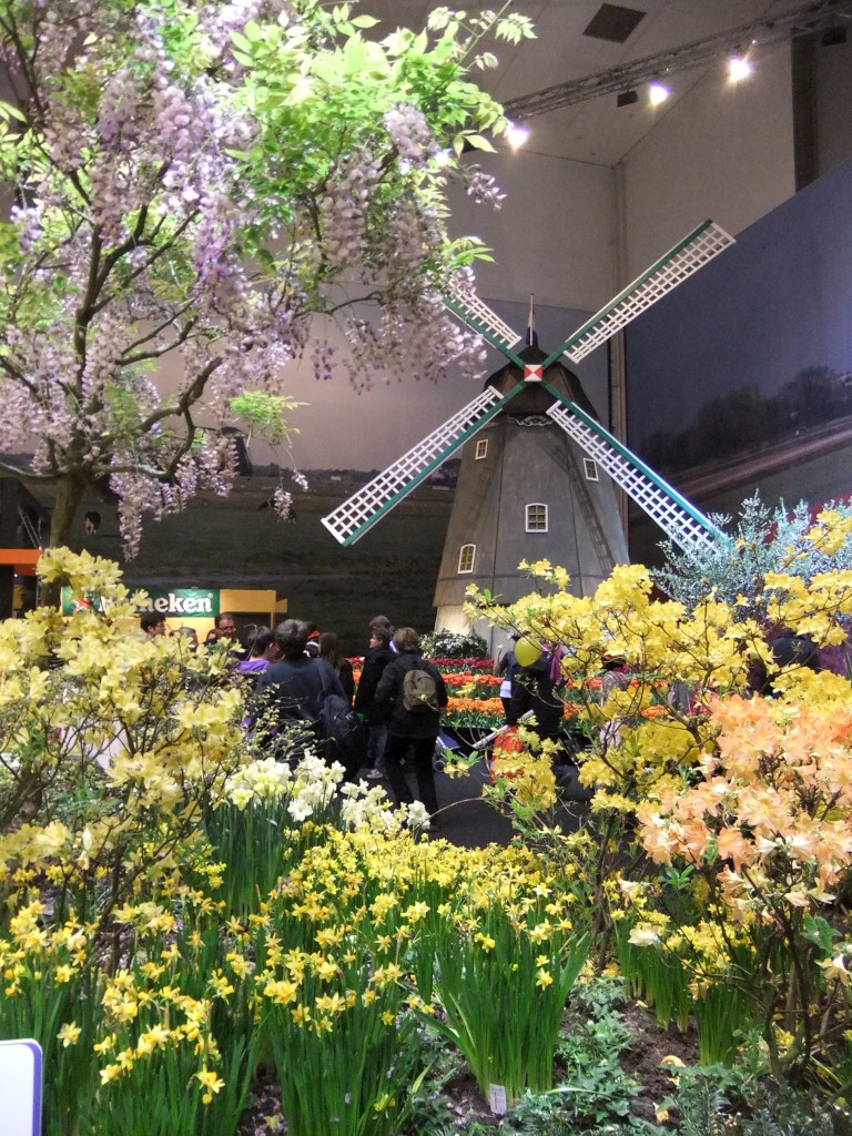 DSCF1348-1024