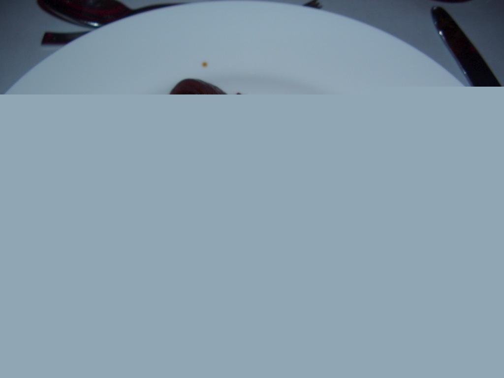 CIMG9313-1024