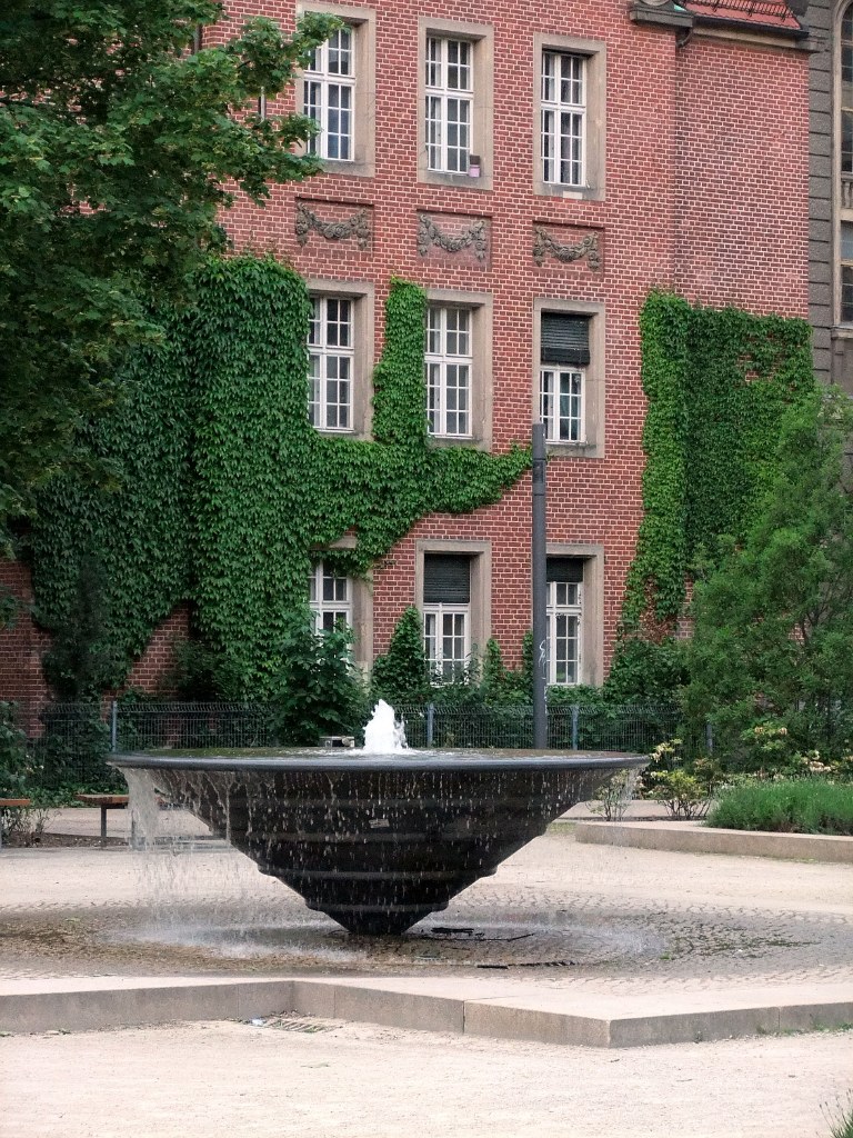 DSCF2401