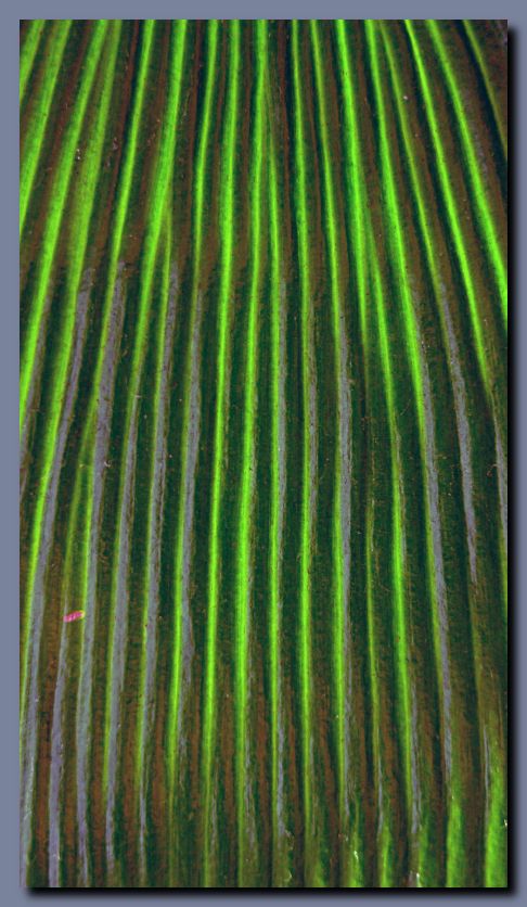 P1080708