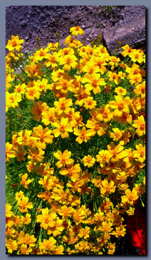 P1080758