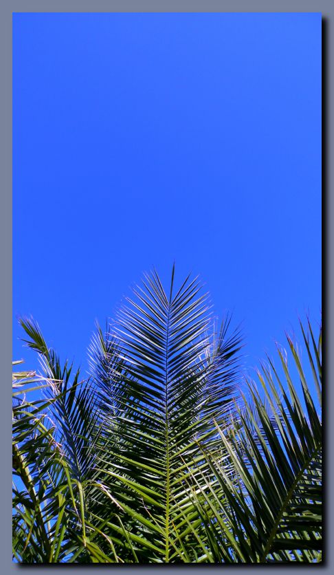 P1080760