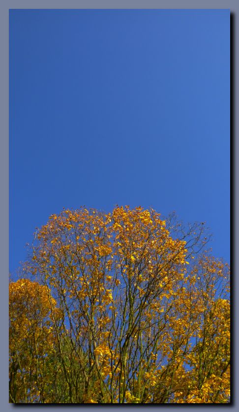 P1080776