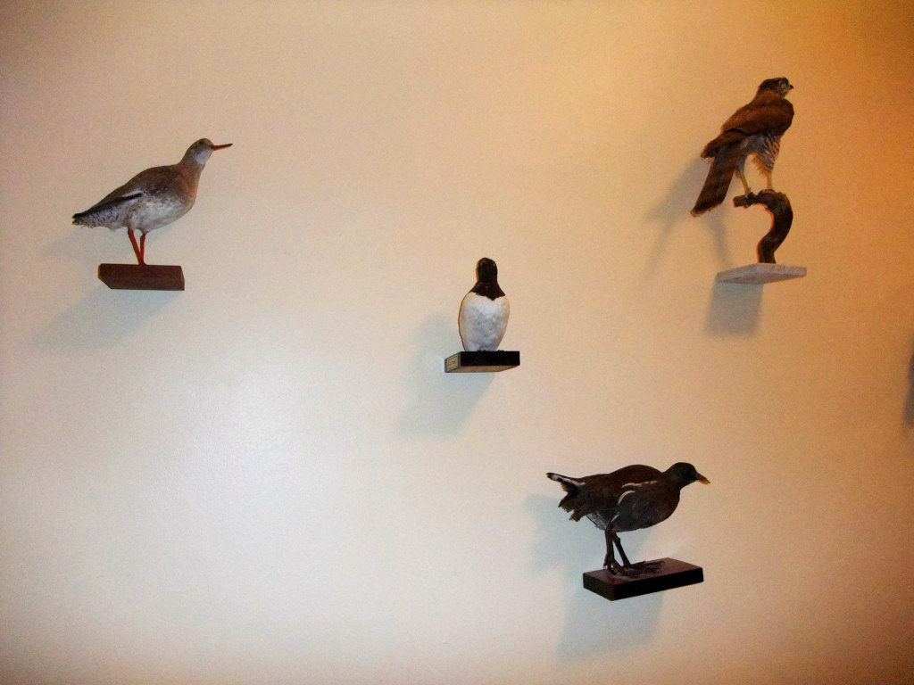 DSCF0646-1024