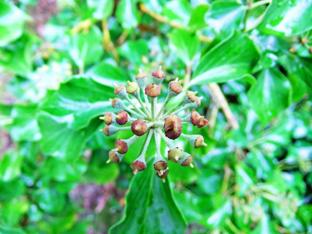 DSCF3326
